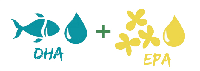 Le DHA contribue au fonctionnement normal du cerveau