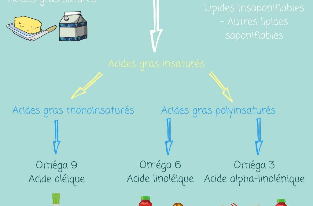 Les oméga 3 et les oméga 6: définitions et généralités