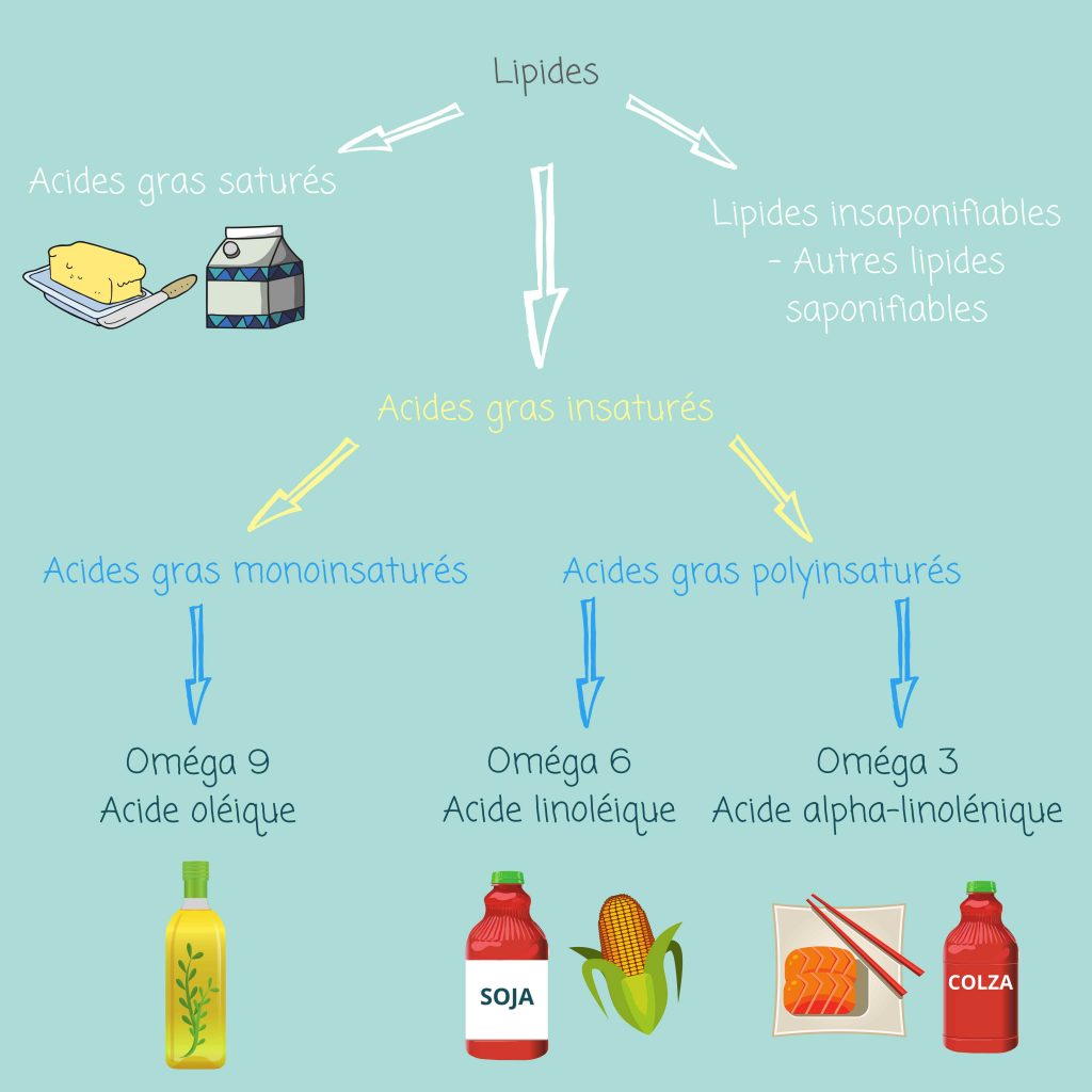 Les oméga 3 et les oméga 6: définitions et généralités - DIOMEGA - A CHACUN  SON OMEGA