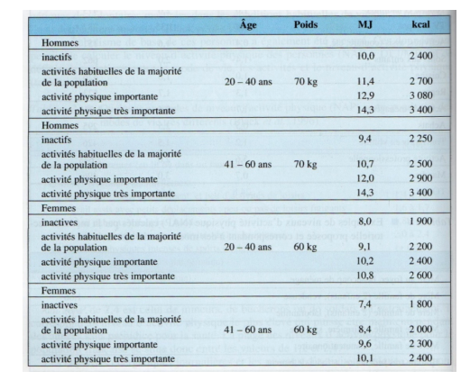 Besoins énergétiques sportifs musculation