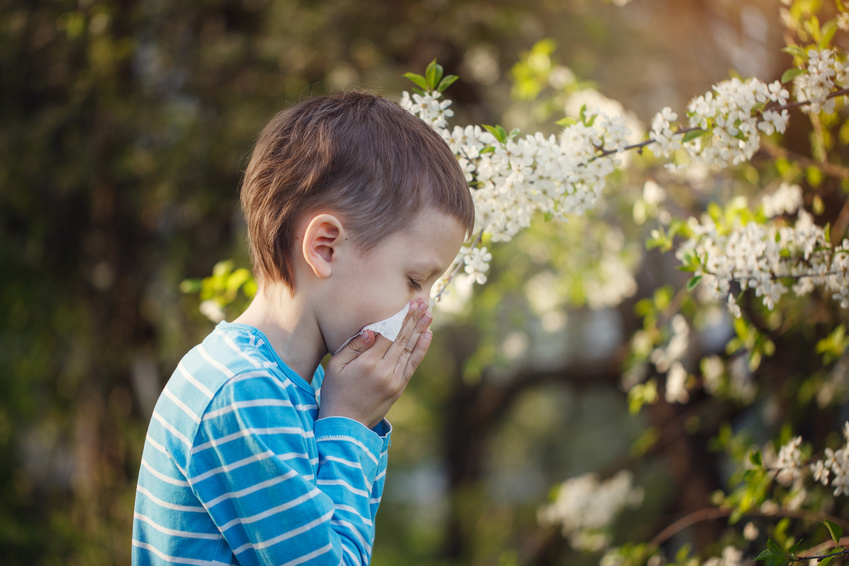 Des oméga 3 contre les allergies chez les enfants ?